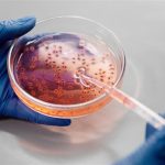 Biofilm rond waterleidingen en afvoeren - slijmerig plakkerig laagje bacteriën in de badkamer