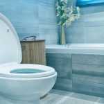 Professionele rioolontstopping in Almere met geavanceerde technieken voor toiletverstopping