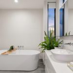 Prachtige kamerplanten voor in de badkamer zorgen voor een groene oase van rust en verbeteren de luchtkwaliteit