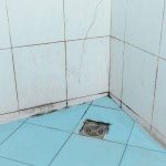 Methoden om vocht in de muur te behandelen en schimmelvorming in de badkamer te voorkomen